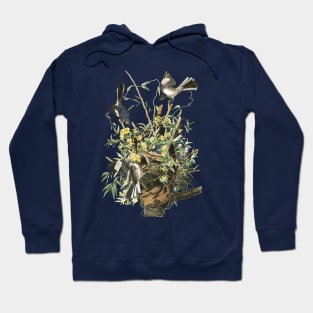 John J. Audubons Mocking Bird Hoodie